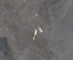 Lincs_golf 14 Division Large Capacity Nike Tour Trolley Cart Golf Bag -Golf Clubs Sales s l1600 b79b7c6e ab95 43f2 a987 603f23bcb429